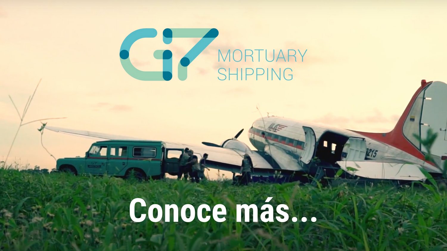 G7MS